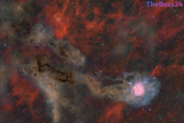 Stunning Wide-Field Image Captures the Cosmic ‘Comet-Like’ Cocoon Nebula