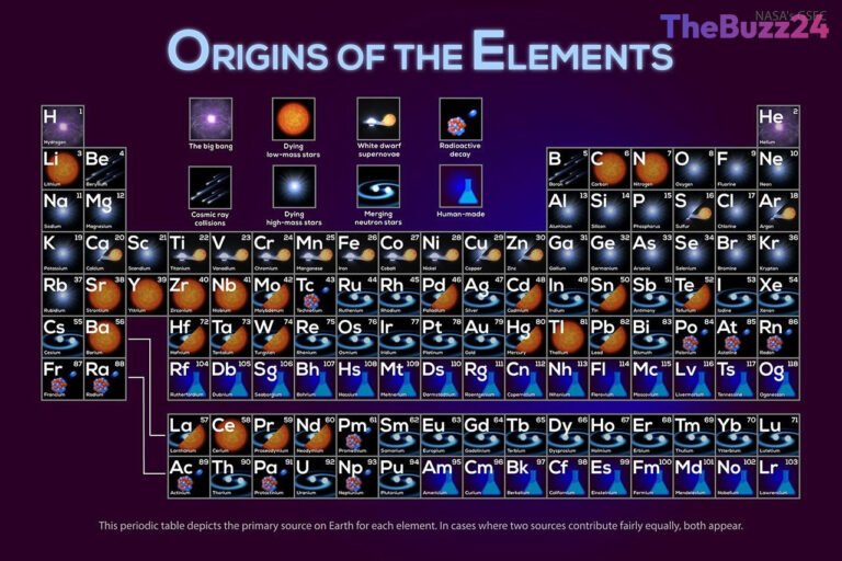 The Cosmic Origins of Human Biology: Tracing the Elements of Life