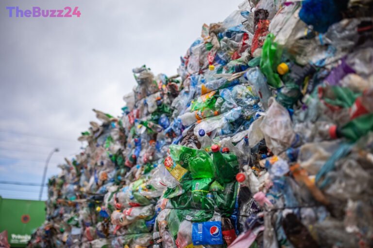 Meta Partners with Plastics Innovator MacroCycle to Boost Recycling and Offset AI’s Carbon Footprint