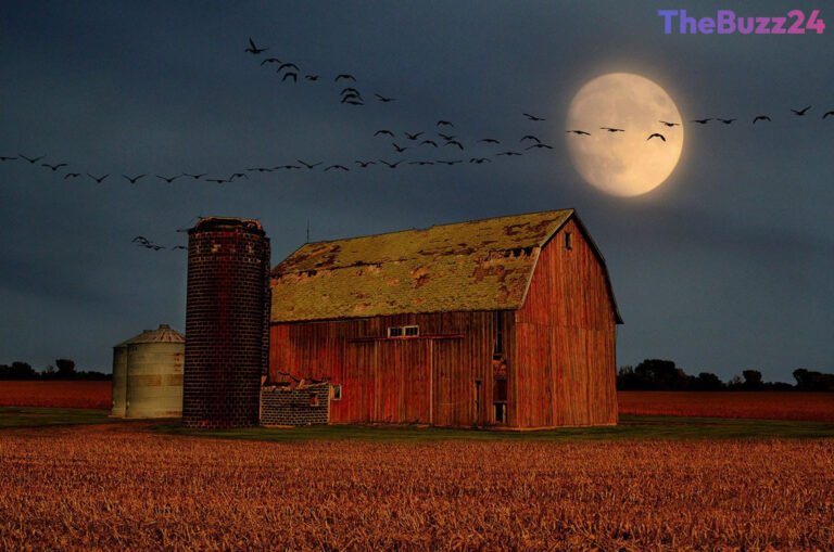 Celestial Spectacles: How to Spot Venus, Saturn, and the Harvest Moon This September