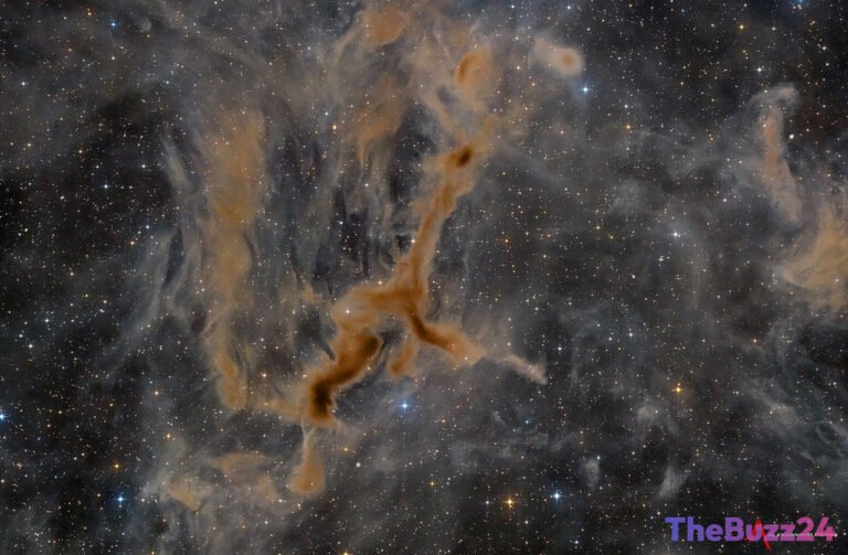 Cosmic Silhouette: Exploring the Enigmatic Giraffe Nebula and the Science of Perception