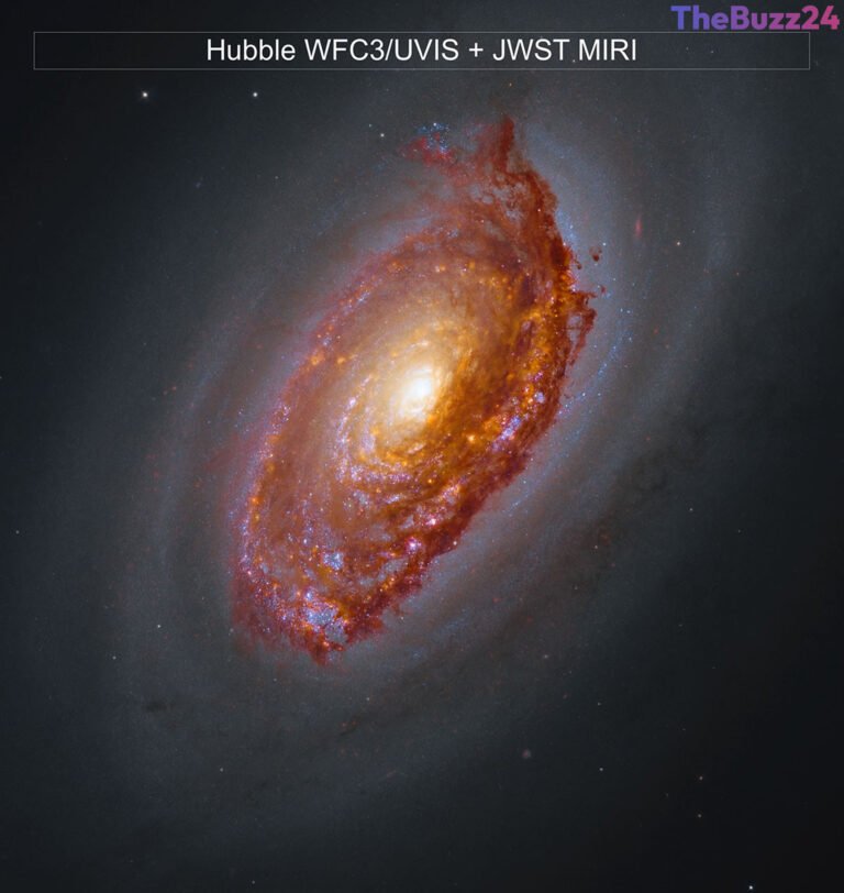 James Webb Space Telescope Reveals Hidden Details of the Black Eye Galaxy