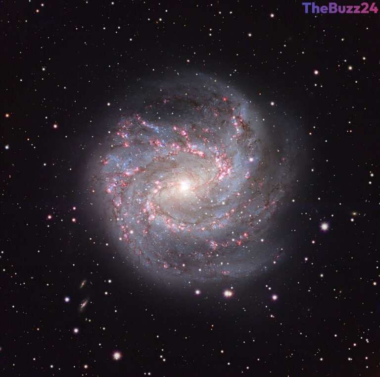 Cosmic Masterpiece: The Stunning Details of the Southern Pinwheel Galaxy Revealed
