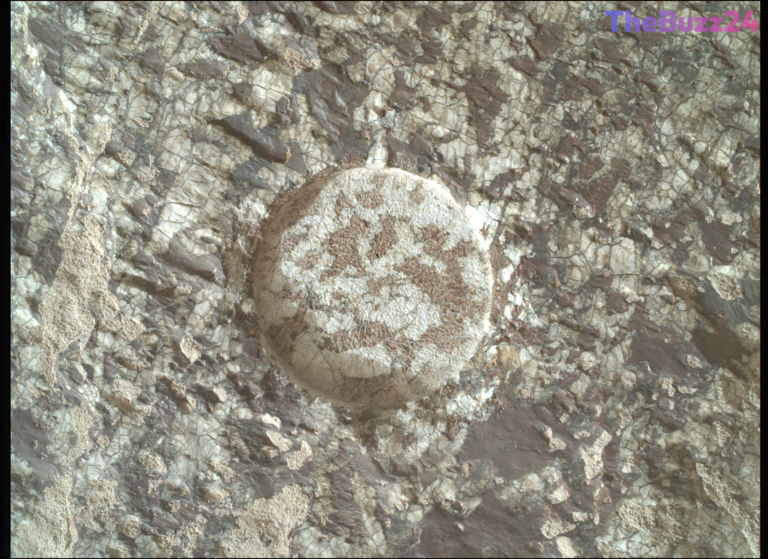 Perseverance Rover Uncovers Ancient Martian Secrets in the ‘Lac de Charmes’ Region