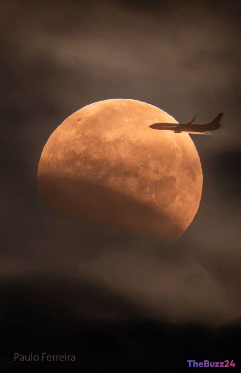 Witnessing a Lunar Eclipse: An Accessible Celestial Spectacle