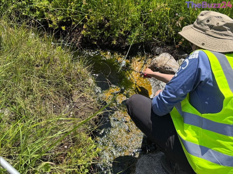 Discovery of ‘Fire Amoeba’ Challenges Limits of Complex Life in Extreme Heat