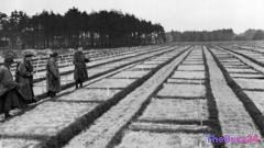 German Prosecutors Pursue 105-Year-Old in WWII POW Camp Murder Probe