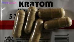 The Rise of Kratom: ‘Gas Station Heroin’ Alarms US Officials Amidst Regulatory Void