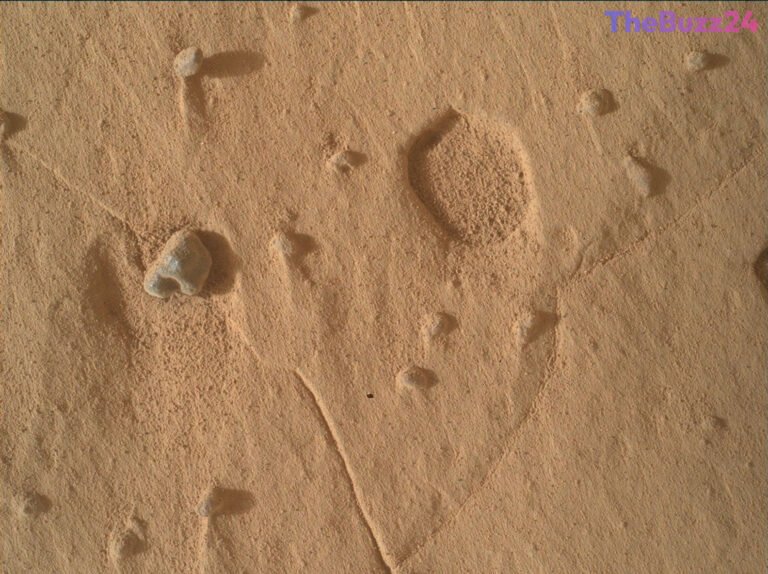 Unexplained Geological Anomalies Detected by Curiosity Rover on Mars