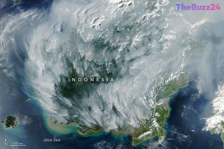 Indonesia Faces Severe Environmental Crisis as Peatland Fires Intensify