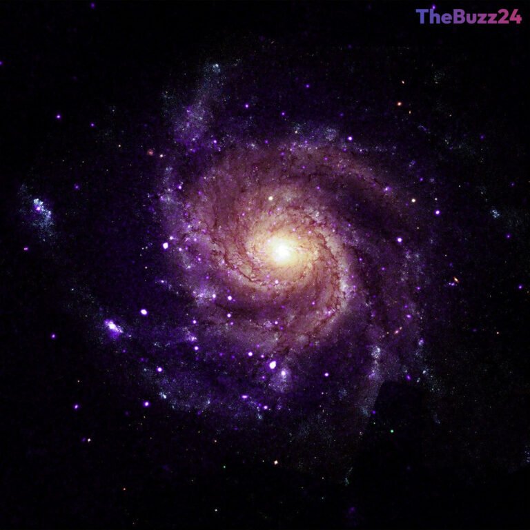 Astronomers Uncover Mysterious ‘Hypersoft’ X-Ray Sources Across Distant Galaxies