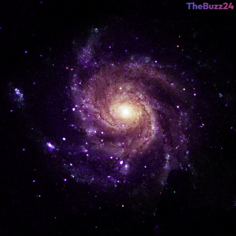 NASA’s Chandra Observatory Uncovers Mysterious Cosmic Objects in the Pinwheel Galaxy