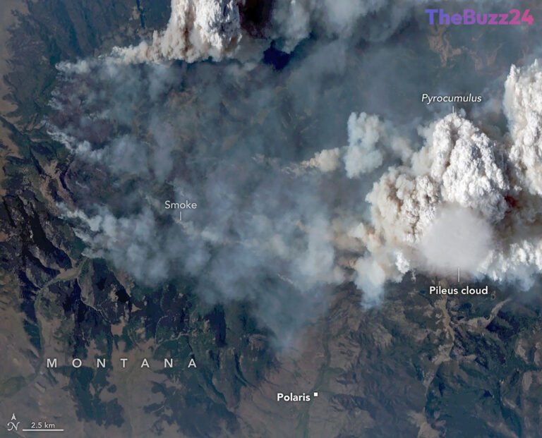 Rare Pileus Cloud Captured Hovering Over Montana Wildfire’s Pyrocumulus Plume