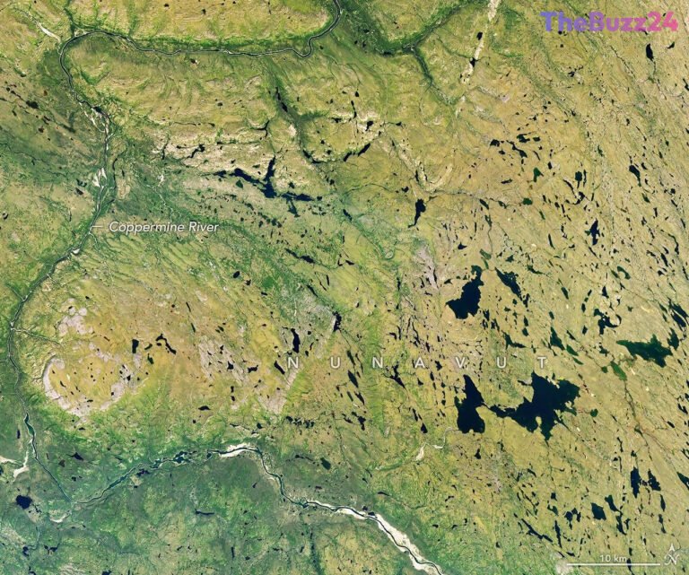 Northern Canada’s Tundra Transforms: An Early Glimpse of Autumn’s Hues