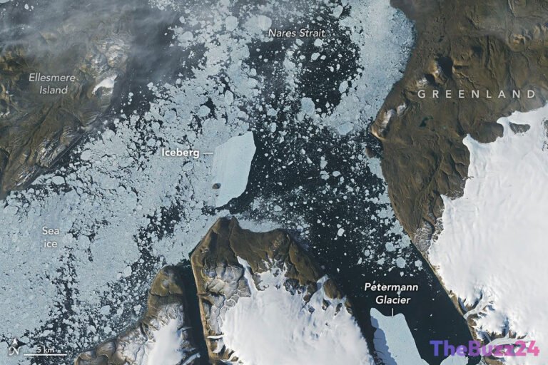 Greenland’s Resilient Ice Island Defies Expectations After Major Calving Event
