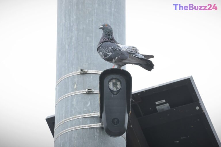Florida and Texas Halt Flock Camera Contracts Amid Privacy and Misuse Allegations