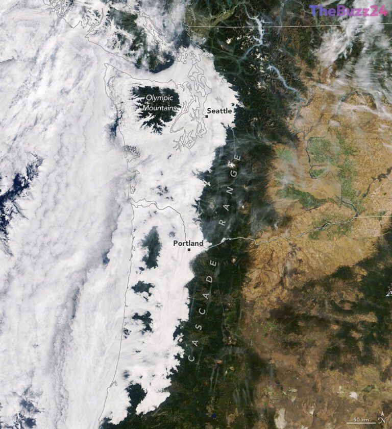 Pacific Marine Air Blankets Northwest in September Fog and Stratus