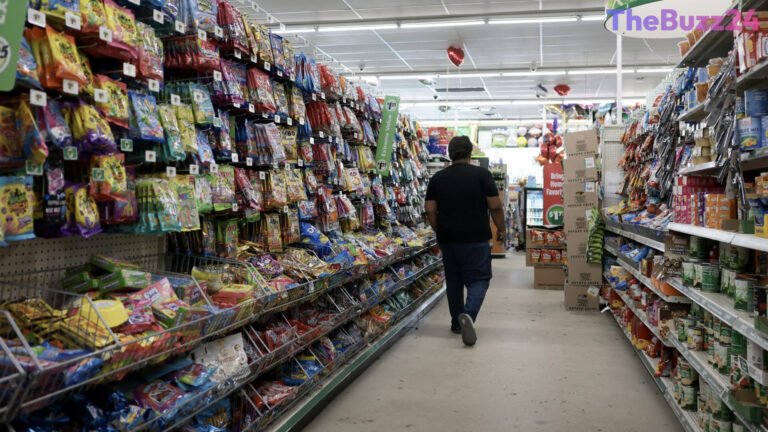 Entrenched Inflation Threatens U.S. Economy as Consumers Adapt to Persistent High Prices