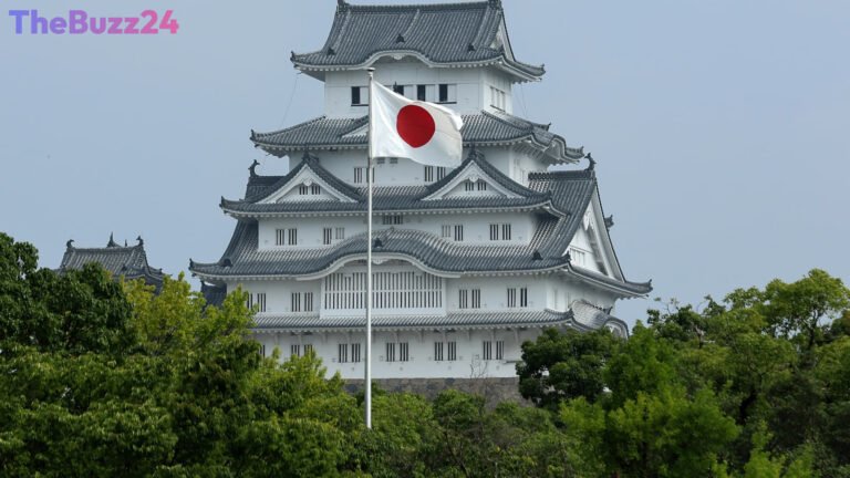 Japan’s Historic Businesses Face Extinction as Record Bankruptcies Mount