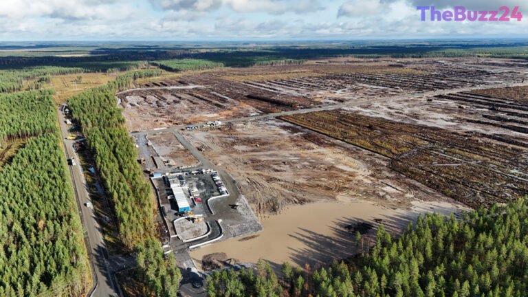 Google Halts Finnish Data Center Construction Amid Environmental Review Mandate