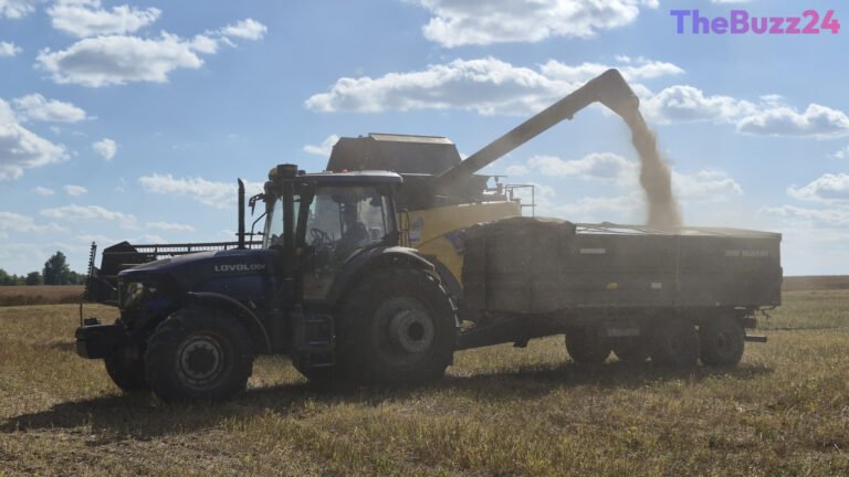 Ukraine’s Harvest Crisis: Blockaded Ports Threaten Global Food Supply and Farmer Survival