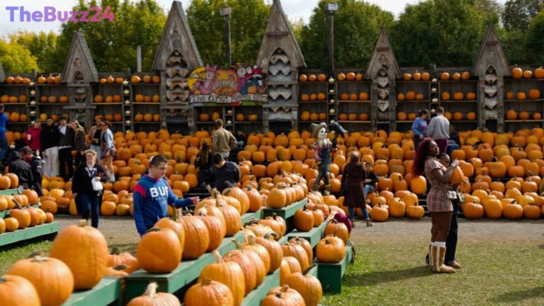 From Laughable Idea to $2 Million Empire: The Great Pumpkin Farm’s Remarkable Rise