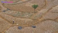 El Niño’s Global Grip: Wildfires, Supercharged Storms, and Droughts Intensify Worldwide