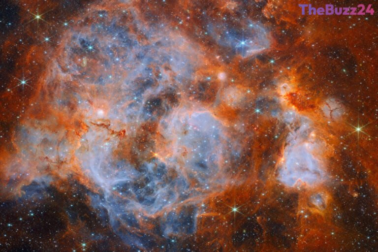 James Webb Telescope Captures Chaotic Star Formation in the Large Magellanic Cloud