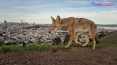 Capturing the Wild: Highlights from the 2026 Wildlife Photographer of the Year Awards