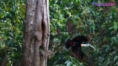 Historic Turnaround: Amazon Deforestation Plummets by Record 42% Ahead of Brazil’s Crucial Election