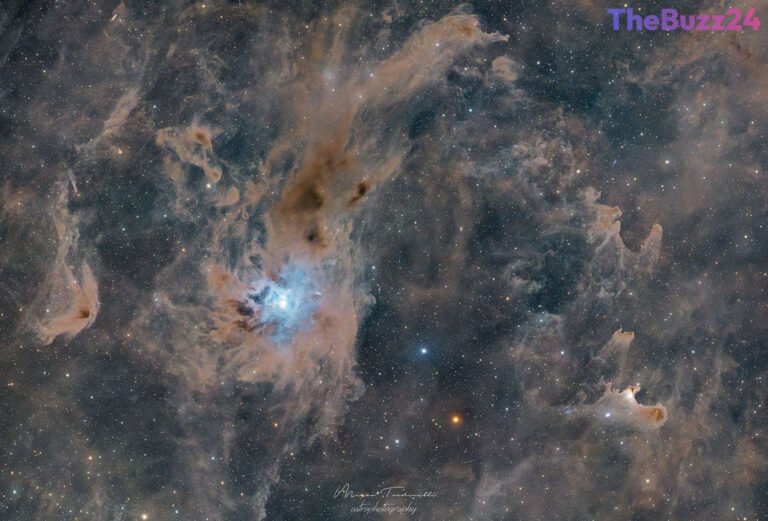 Cosmic Specters: Exploring the Eerie Beauty of the Cepheus Flare