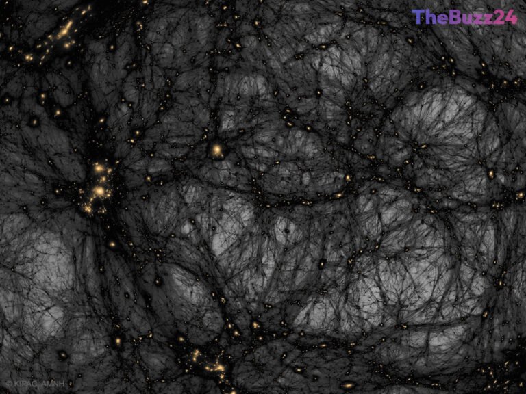 Visualizing the Invisible: New Simulations Reveal the Cosmic Web of Dark Matter