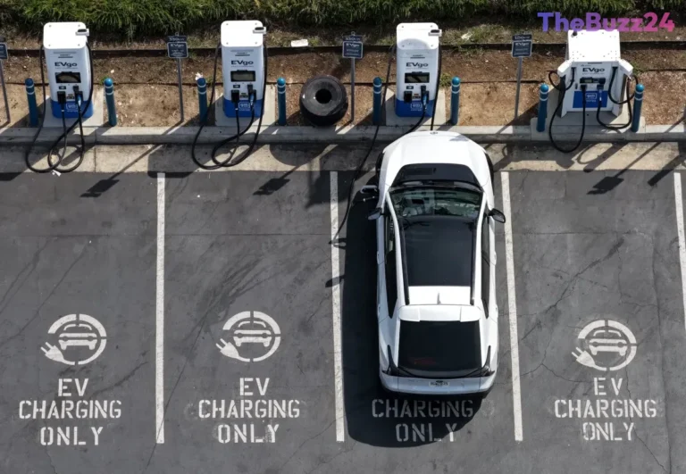 U.S. Electric Vehicle Market Rebounds Following Months of Slump