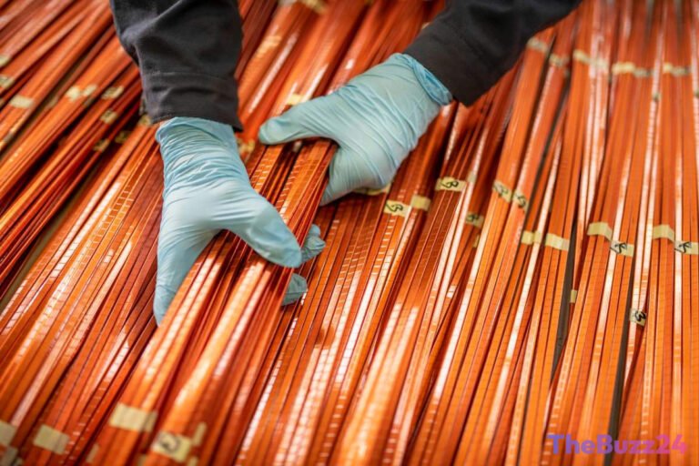 Biotech Innovator Giraffe Bio Targets Copper Scarcity with Advanced Biomolecule Extraction