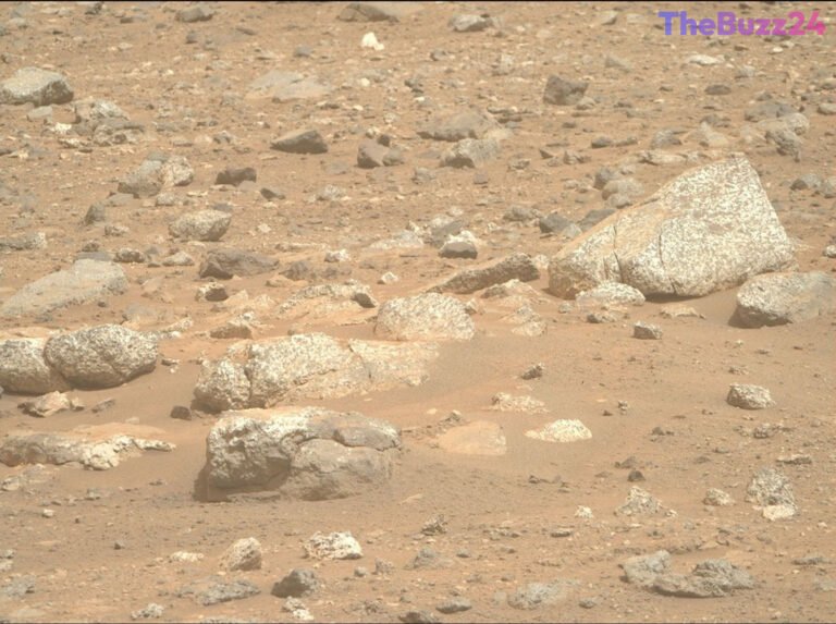 Perseverance Rover Uncovers Deep Martian Secrets with Unusual Rock Discovery