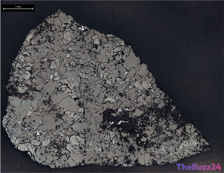 Teghaza 001: Ancient Martian Meteorite Unlocks Secrets of the Red Planet’s Past
