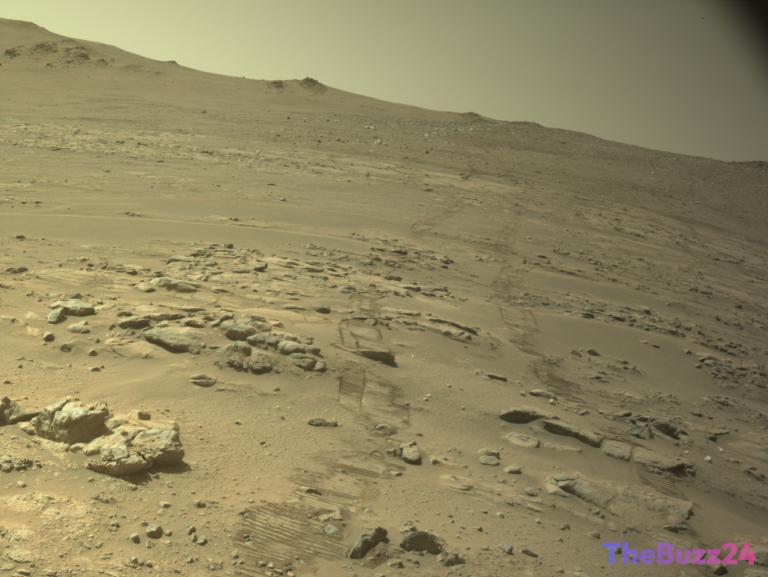 Perseverance Mars Rover Surpasses Historic Mileage Milestone