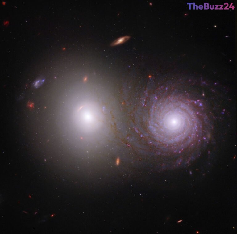 NASA Launches Overlap Zoo: Citizen Scientists Needed to Map Cosmic Dust