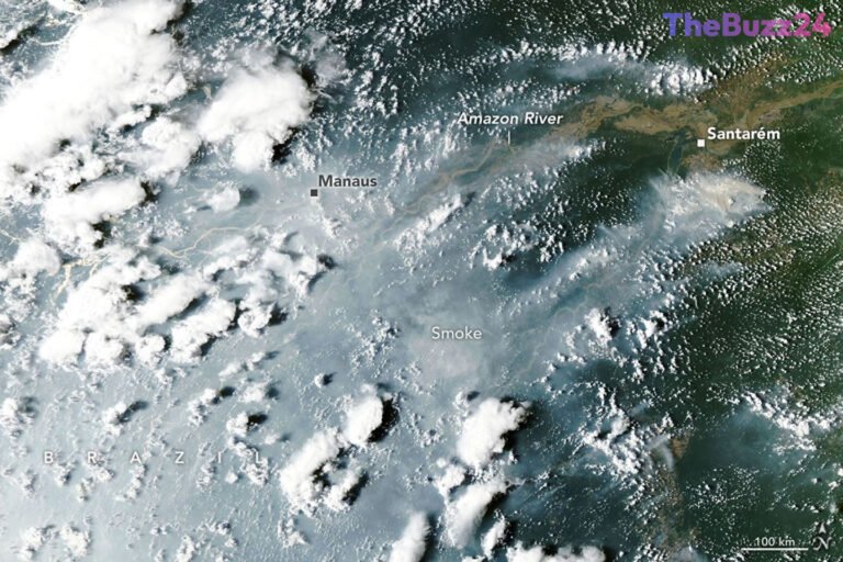 El Niño’s Fiery Grip: Amazon Rainforest Faces Unprecedented Blazes