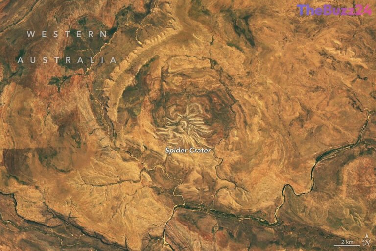 Unveiling Spider Crater: Ancient Australian Meteorite Structure Captured from Orbit