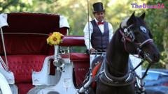 End of an Era: New York City Council Votes to Ban Central Park Horse Carriages
