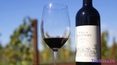 Massive €5 Million Wine Heist Targets Historic Italian Producer Marchesi Antinori