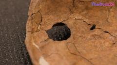 Ancient Spear Wound Reveals Neanderthal Violence May Be Underestimated