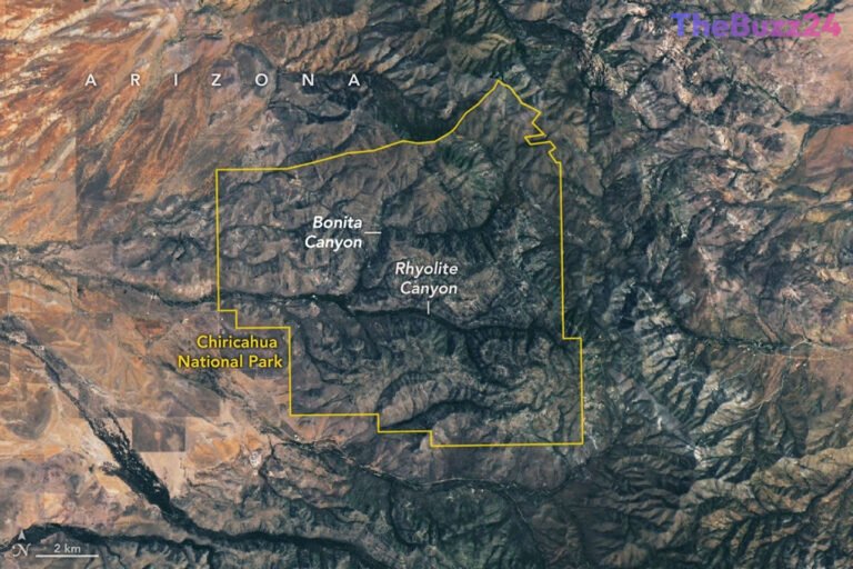 Inside Arizona’s Volcanic Wonderland: The Evolution of America’s Newest National Park