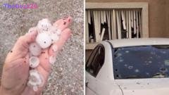 Phoenix Engulfed by Rare, Destructive Hailstorm