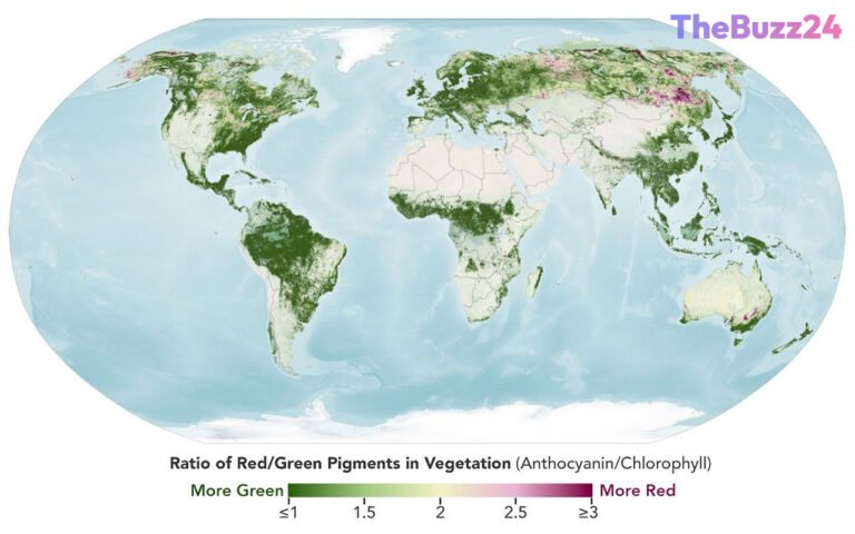 Satellite Technology Revolutionizes the Science of ‘Leaf Peeping’