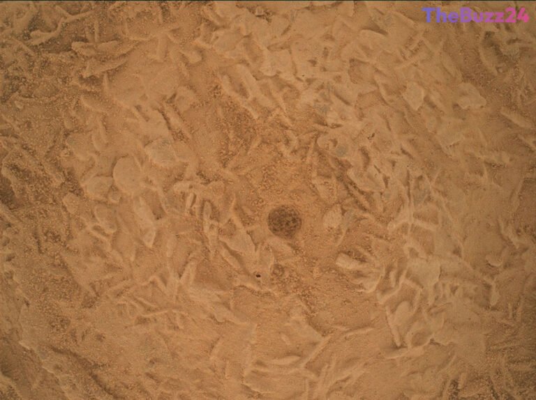 Mars Rover Curiosity Investigates Enigmatic Mineral Formations