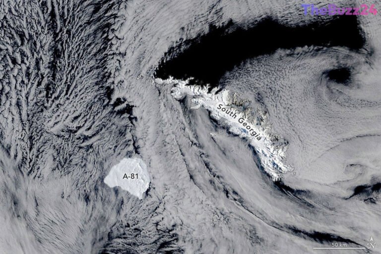 Massive Antarctic Iceberg A-81 Reaches South Georgia Island