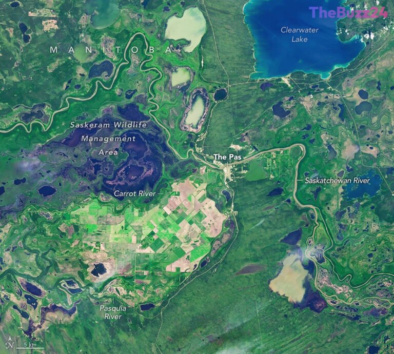 Cultivating the Delta: How Manitoba’s Northernmost Farmland Defies the Wetlands