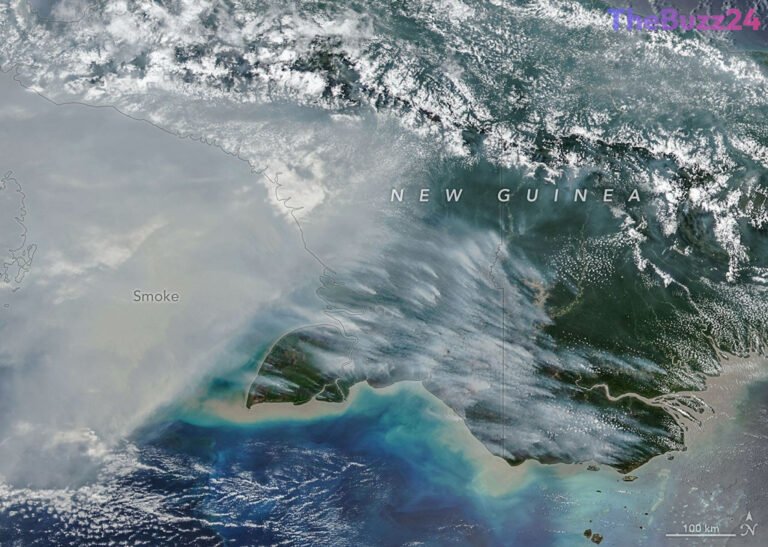 Severe El Niño-Driven Wildfires Scorch New Guinea, Shrouding Island in Smoke